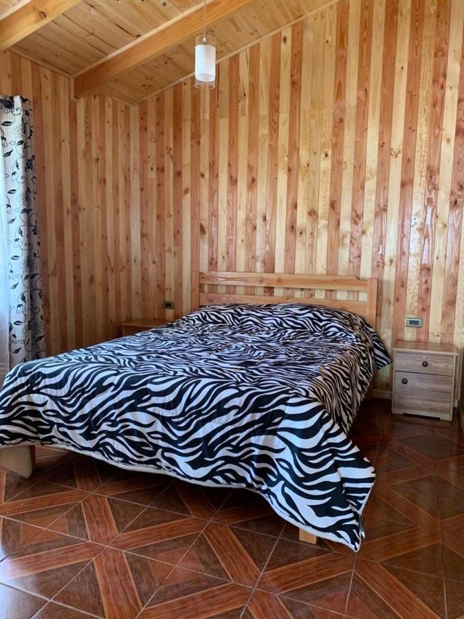 Cabanas Gonzalez Caniupan ليكانراي المظهر الخارجي الصورة