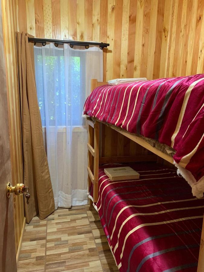 Cabanas Gonzalez Caniupan ليكانراي المظهر الخارجي الصورة